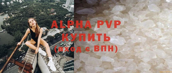 стаф Арсеньев