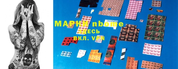 стаф Арсеньев