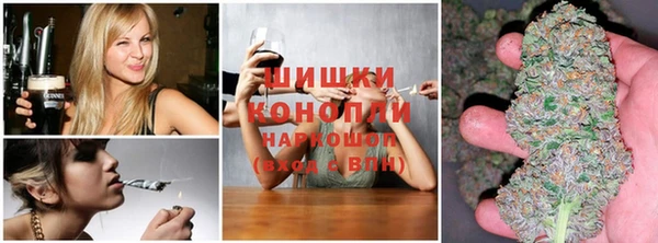 стаф Арсеньев