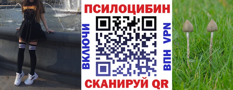 МЕГА онион  Лебедянь  Галлюциногенные грибы Cubensis 