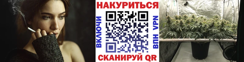 Канабис ГИДРОПОН  Лебедянь 